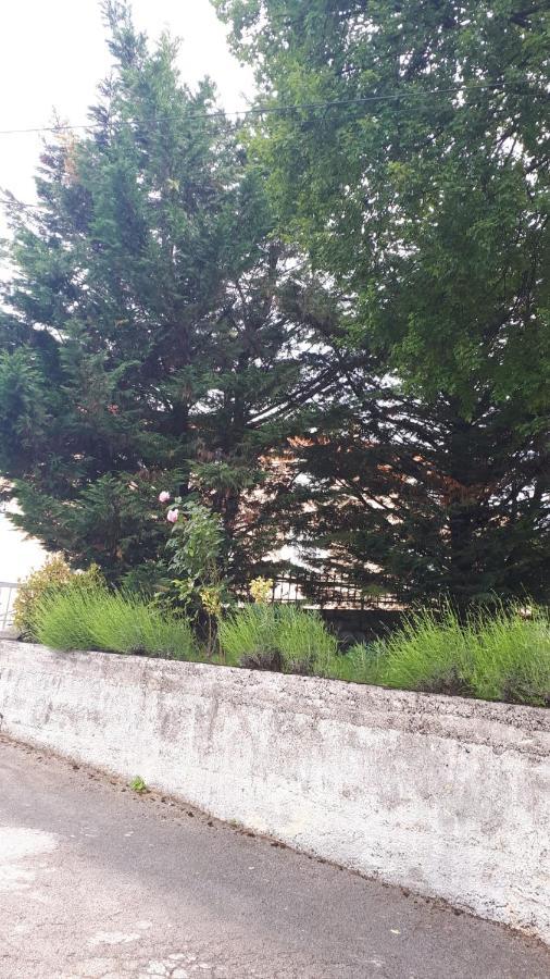 Apartman Rosemary Rijeka Eksteriør bilde